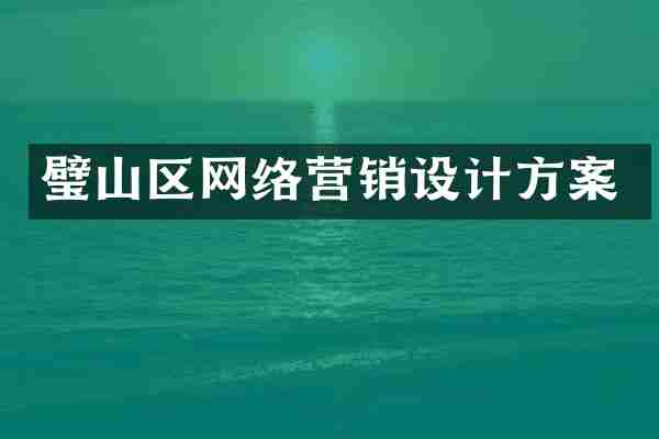 璧山区网络营销设计方案