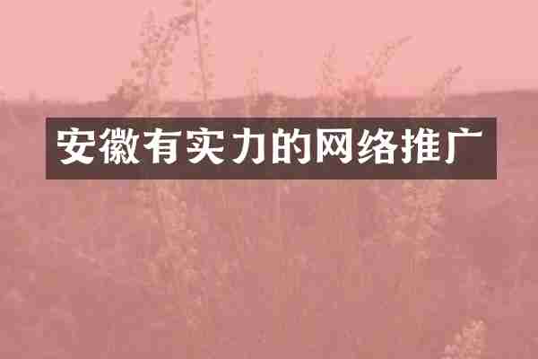 安徽有实力的网络推广