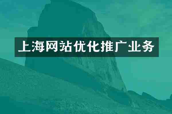 上海网站优化推广业务