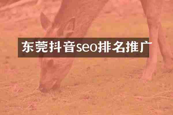 东莞抖音seo排名推广