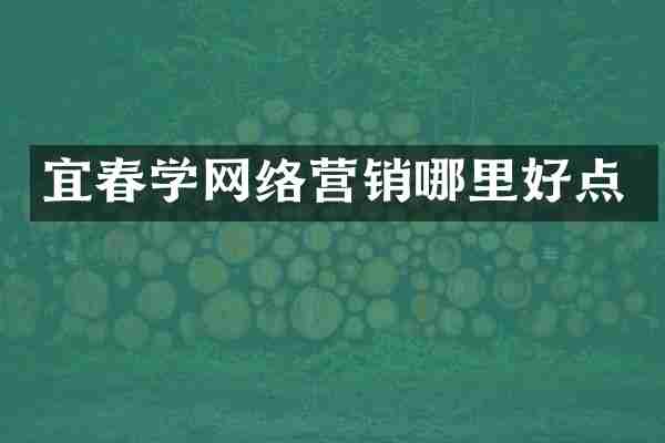 宜春学网络营销哪里好点