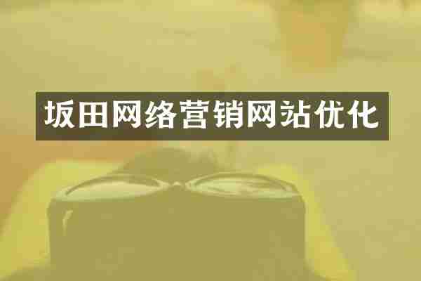 坂田网络营销网站优化