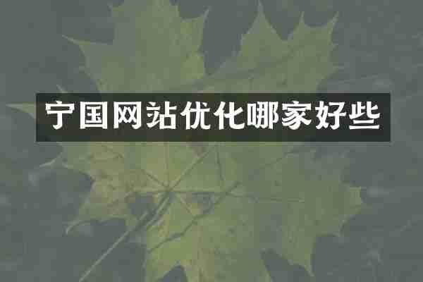 宁国网站优化哪家好些