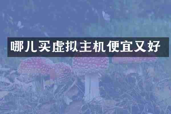 哪儿买虚拟主机便宜又好