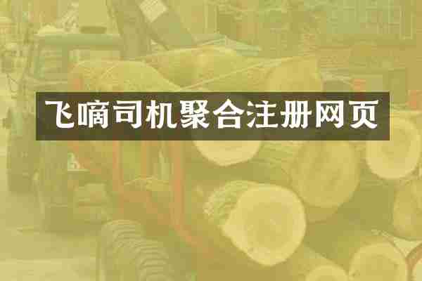 飞嘀司机聚合注册网页