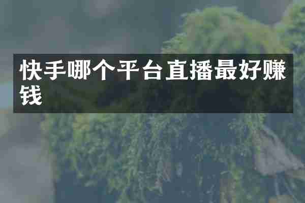 快手哪个平台直播最好赚钱