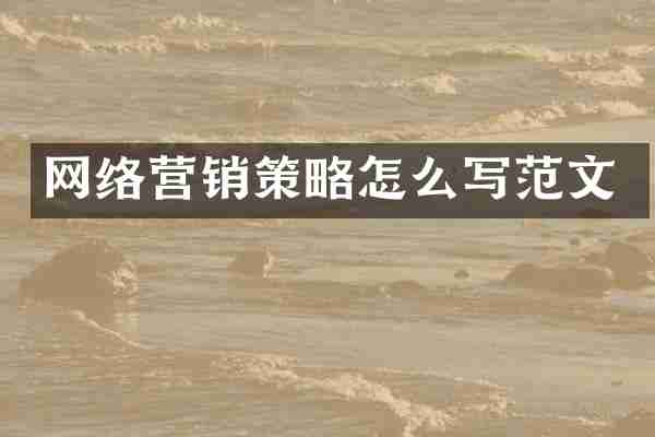 网络营销策略怎么写范文