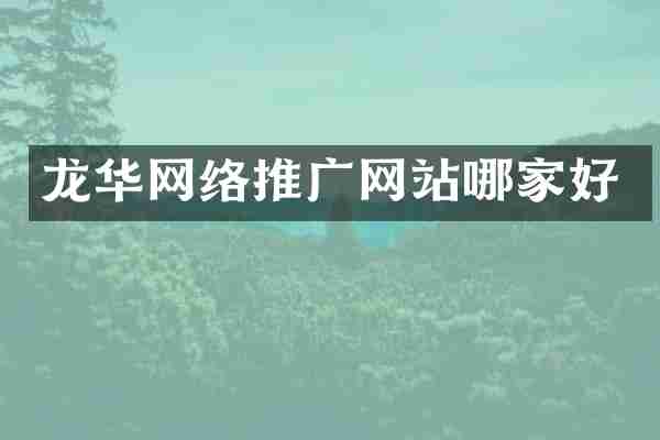 龙华网络推广网站哪家好