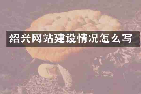 绍兴网站建设情况怎么写