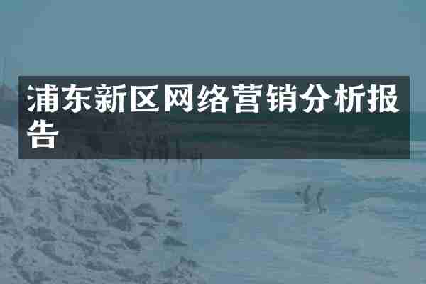 浦东新区网络营销分析报告