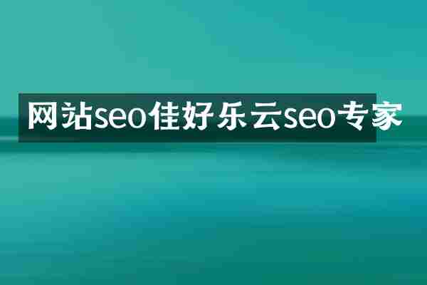 网站seo佳好乐云seo专家