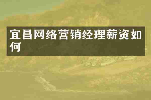 宜昌网络营销经理薪资如何