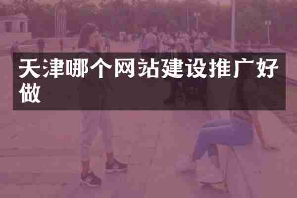 天津哪个网站建设推广好做