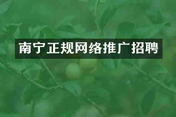 南宁正规网络推广招聘