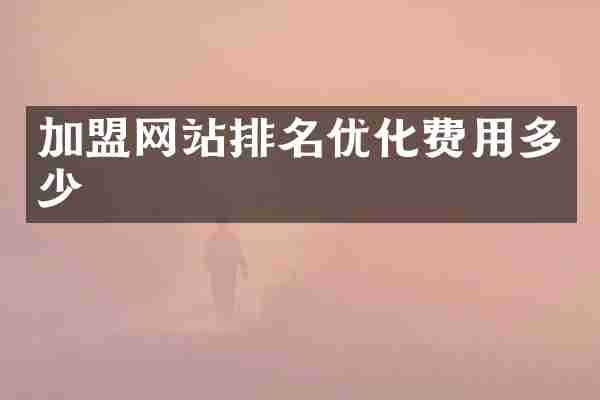 加盟网站排名优化费用多少