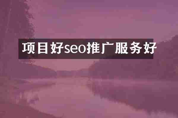 项目好seo推广服务好
