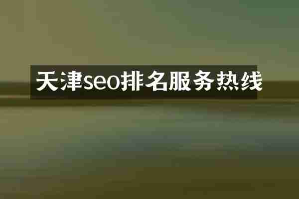 天津seo排名服务热线