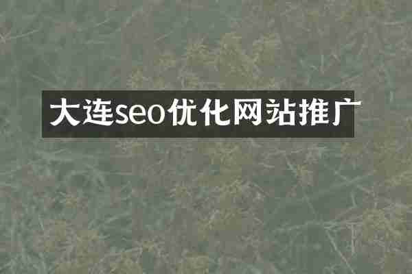 大连seo优化网站推广