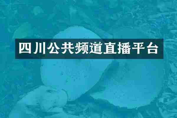 四川公共频道直播平台
