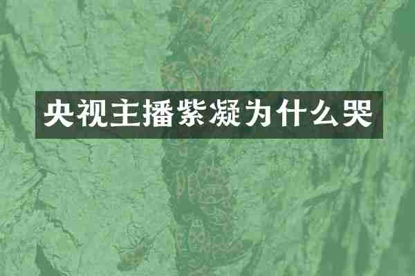 央视主播紫凝为什么哭