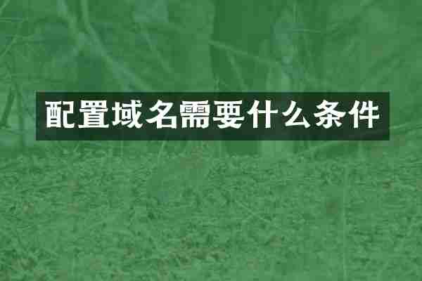 配置域名需要什么条件
