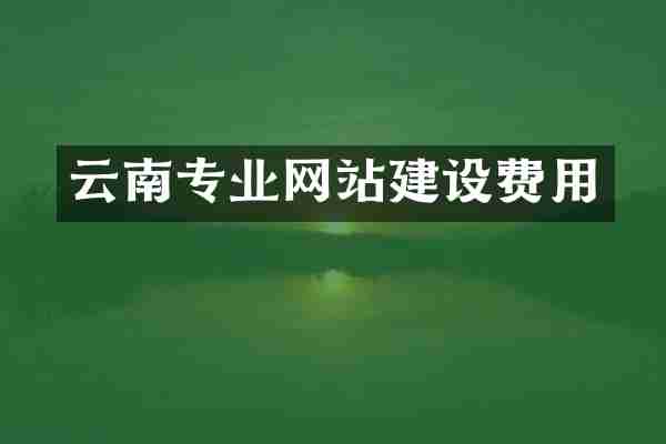 云南专业网站建设费用