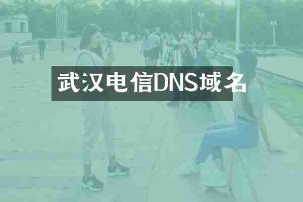 武汉电信DNS域名