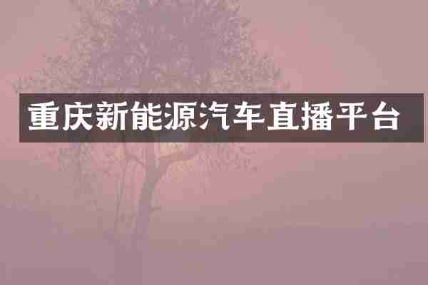 重庆新能源汽车直播平台