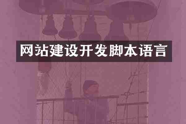 网站建设开发脚本语言
