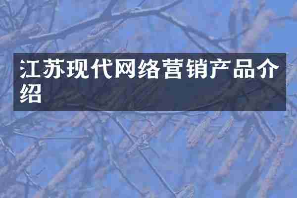 江苏现代网络营销产品介绍