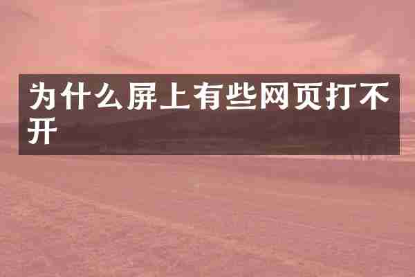 为什么屏上有些网页打不开