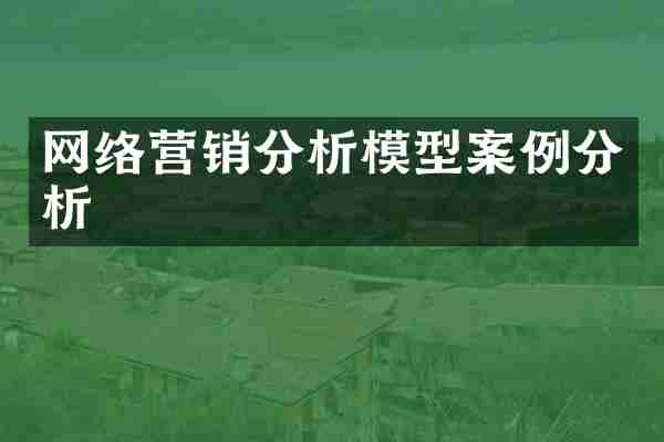 网络营销分析模型案例分析