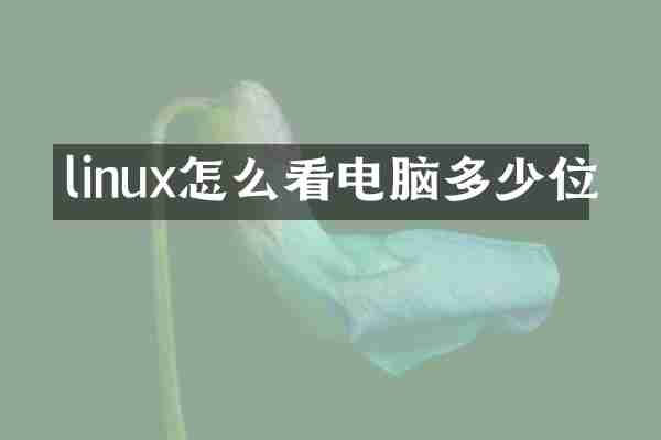 linux怎么看电脑多少位