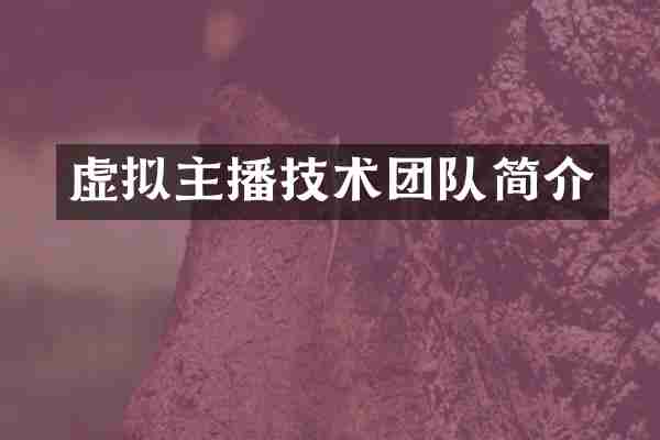 虚拟主播技术团队简介