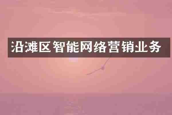 沿滩区智能网络营销业务