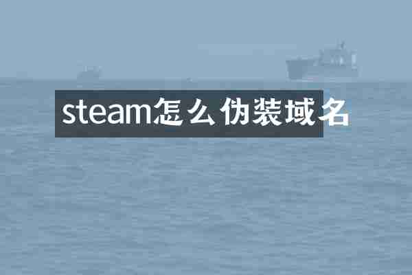 steam怎么伪装域名