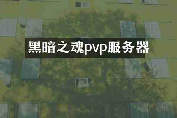 黑暗之魂pvp服务器