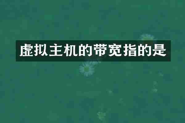虚拟主机的带宽指的是