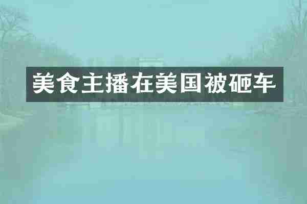 美食主播在美国被砸车