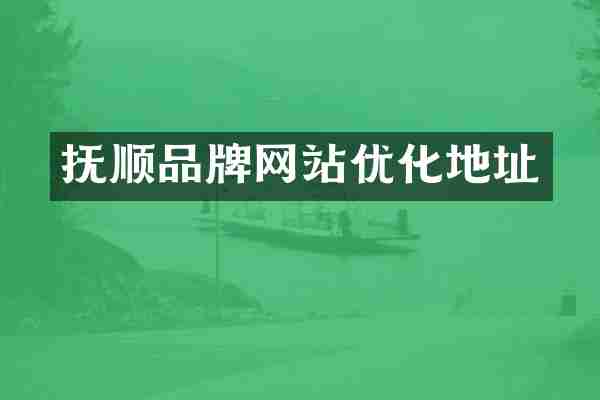 抚顺品牌网站优化地址