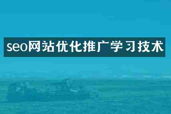 seo网站优化推广学习技术