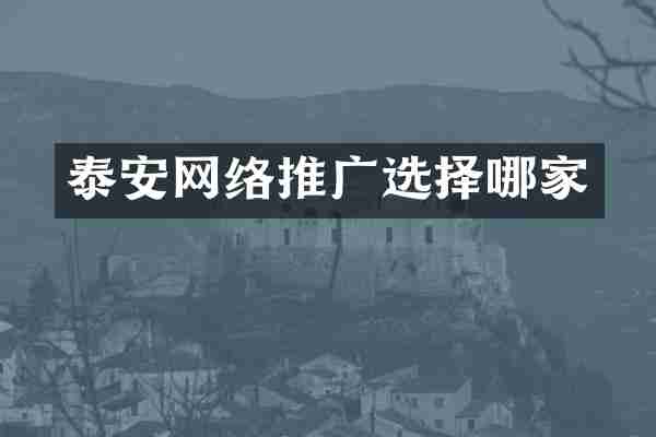 泰安网络推广选择哪家