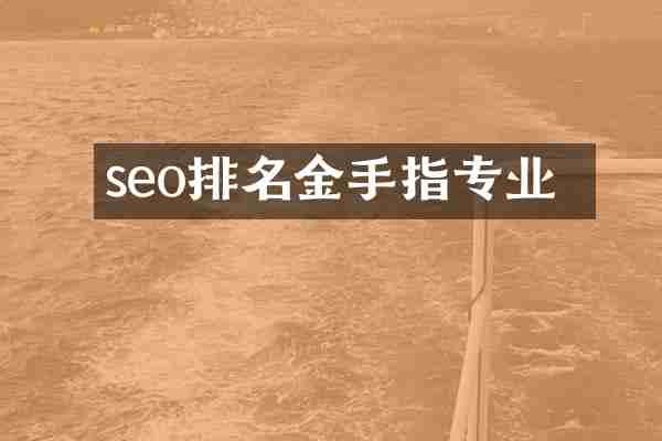seo排名牜金手指专业