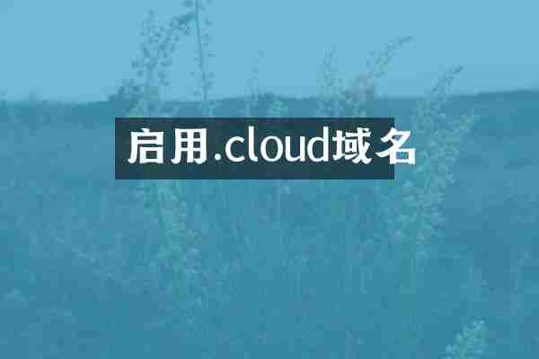 启用.cloud域名