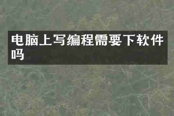 电脑上写编程需要下软件吗