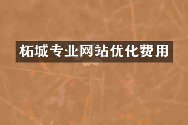 柘城专业网站优化费用