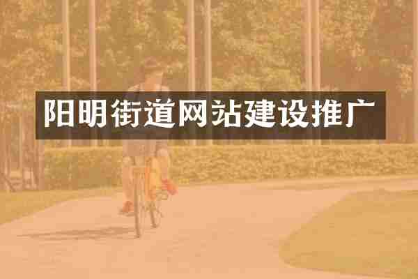 阳明街道网站建设推广