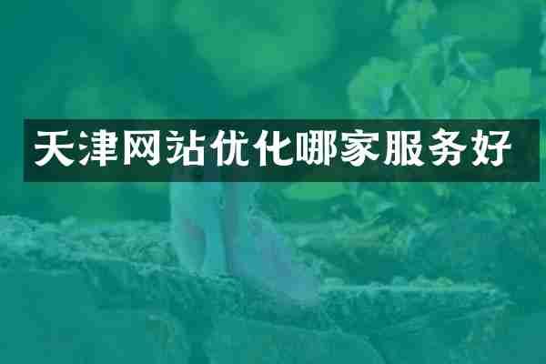 天津网站优化哪家服务好