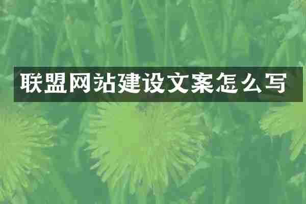 联盟网站建设文案怎么写