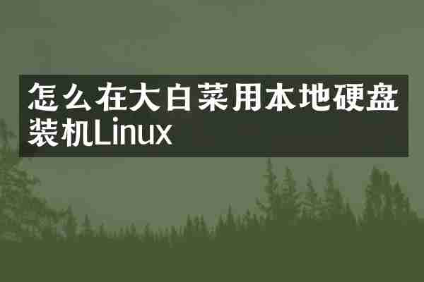怎么在大白菜用本地硬盘装机Linux